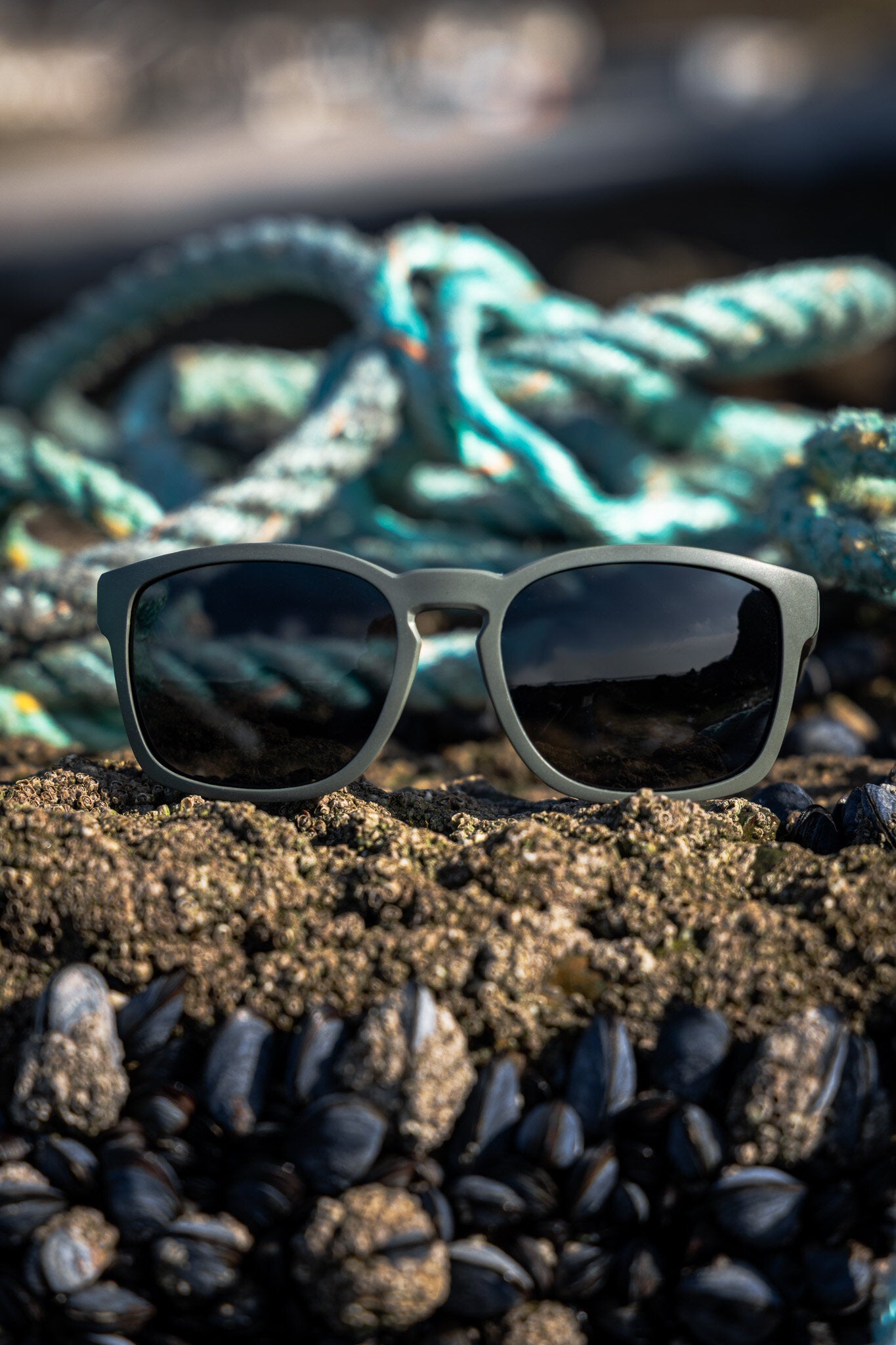 Towan Raw - Grey Polarised Lens