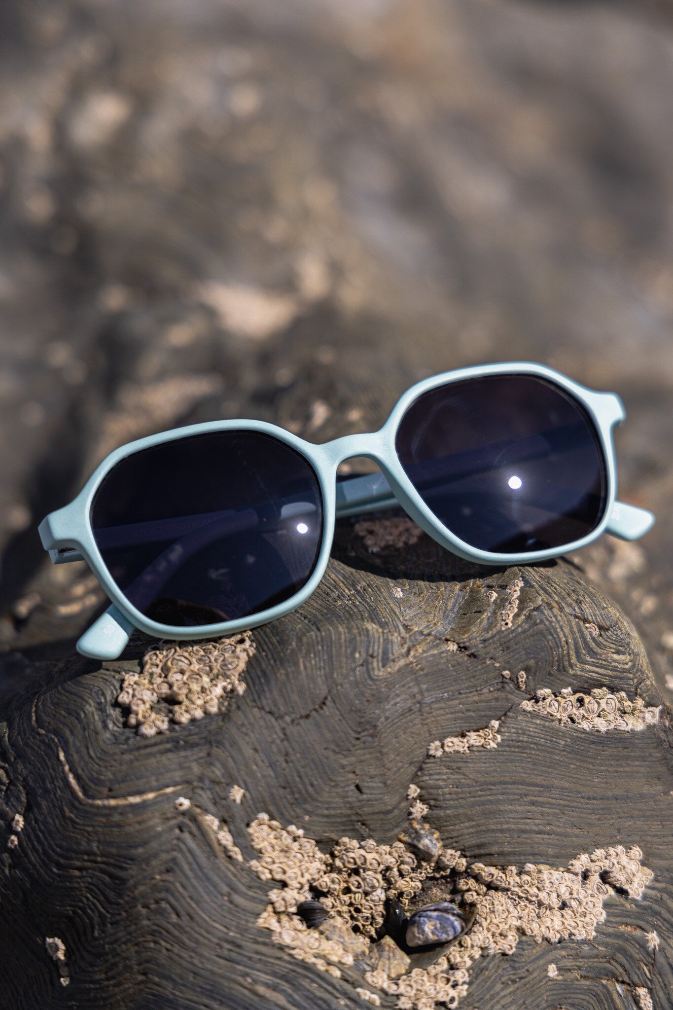 Droskyn - Spindrift - Grey Lens