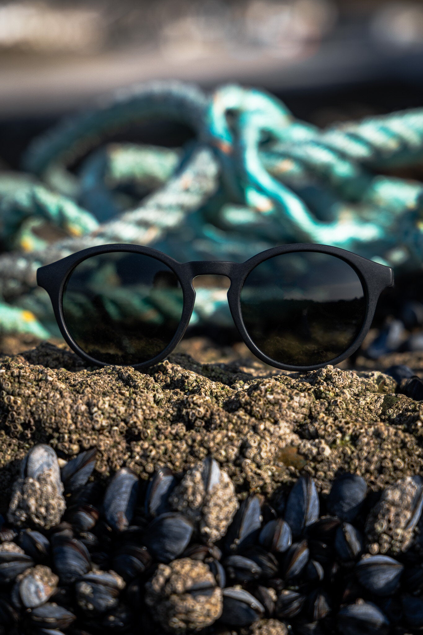 Trevellas Black - Green Polarised Lens