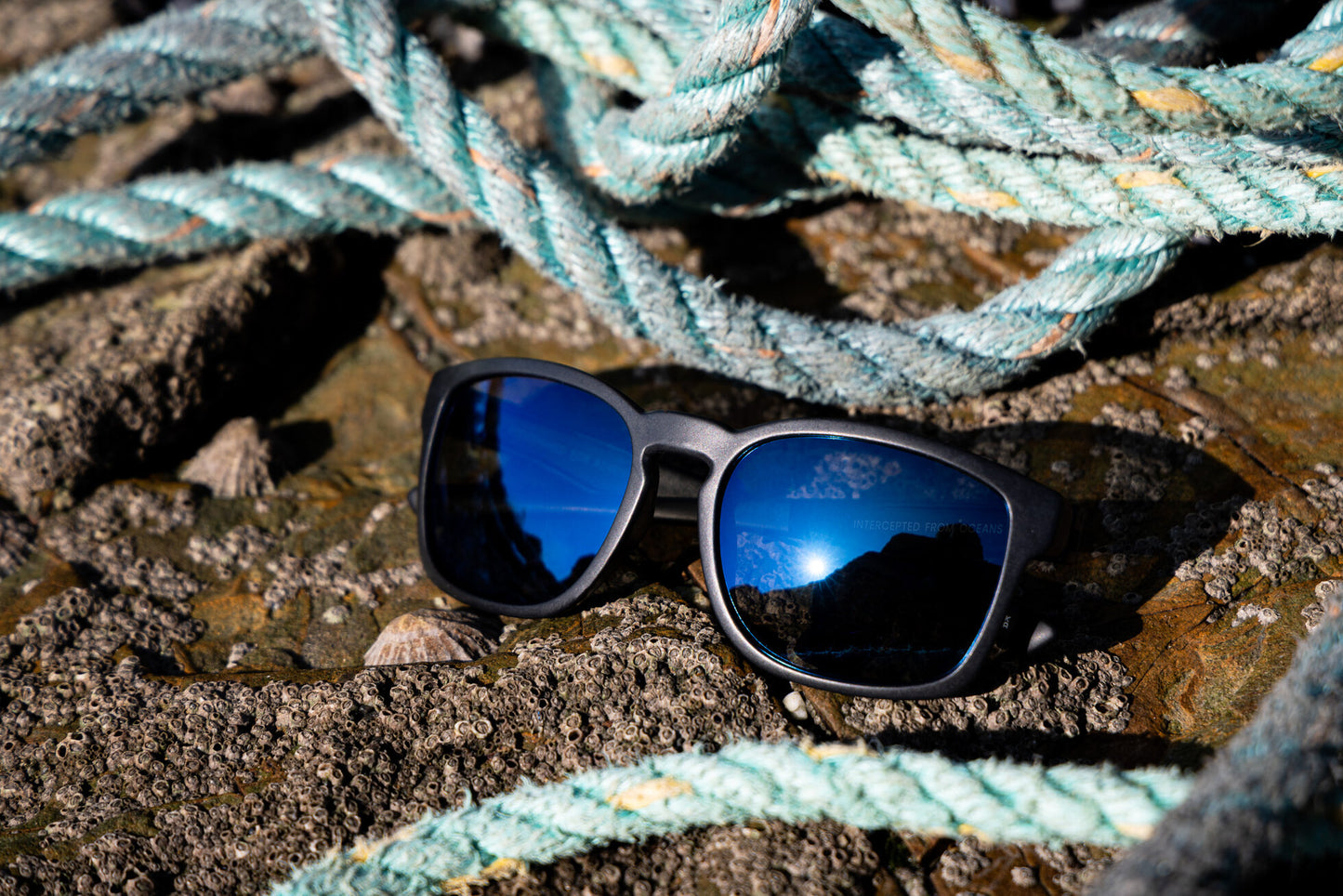 Towan Black - Blue Mirror Polarised Lens
