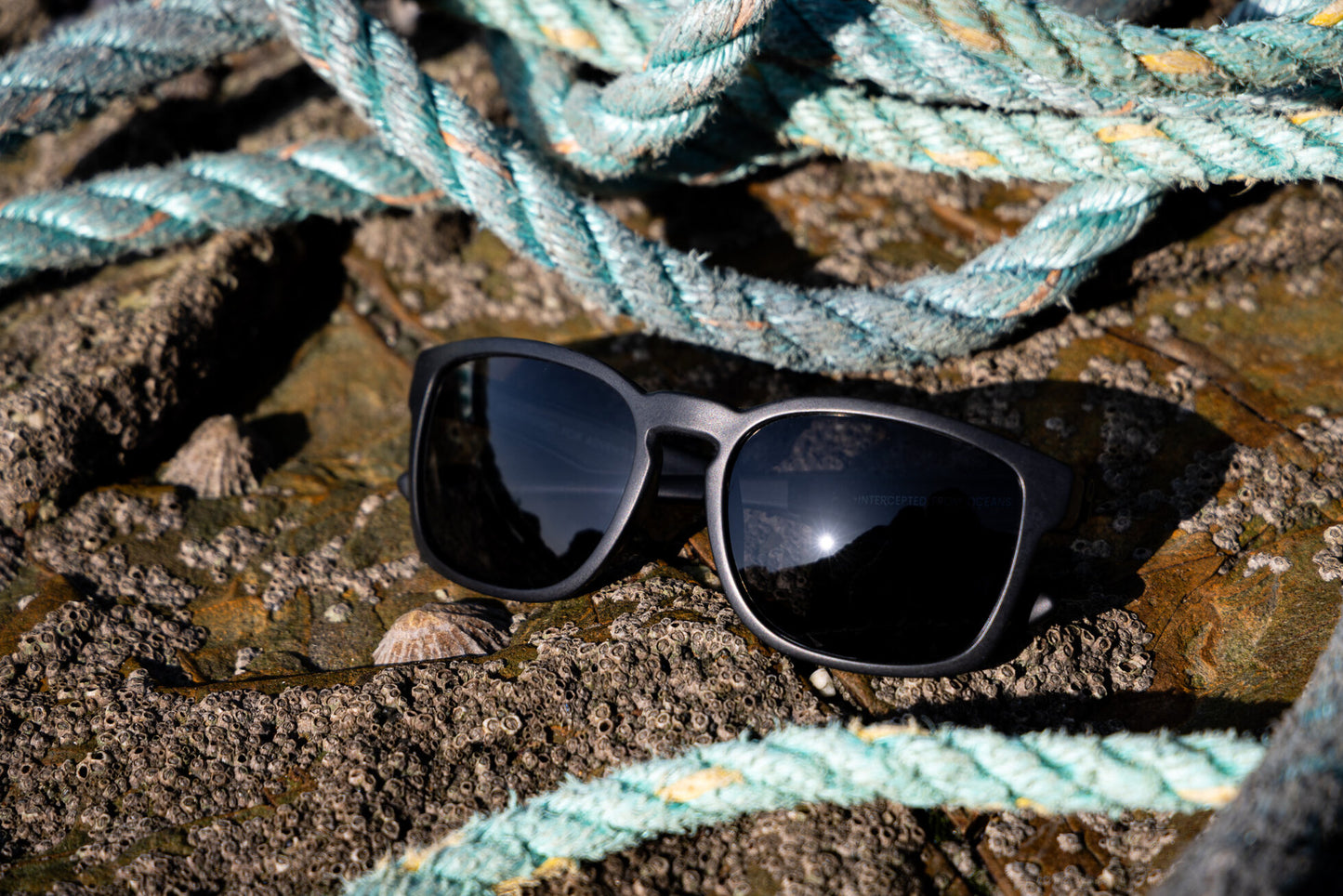 Towan Raw - Grey Polarised Lens
